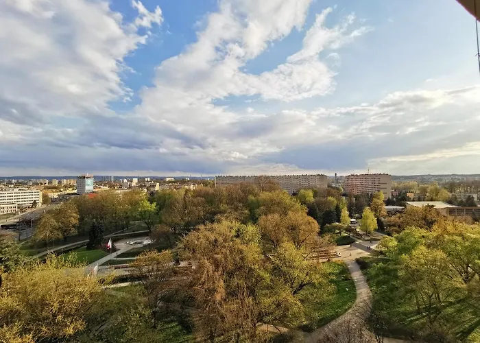 Apartament D&T City Center View