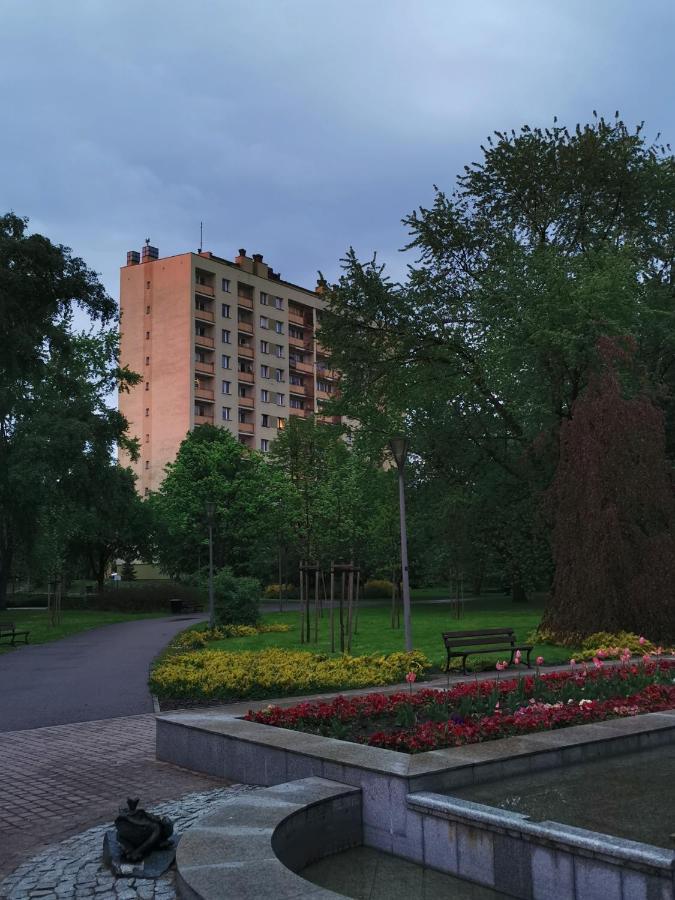 D&t Center View Rzeszów
